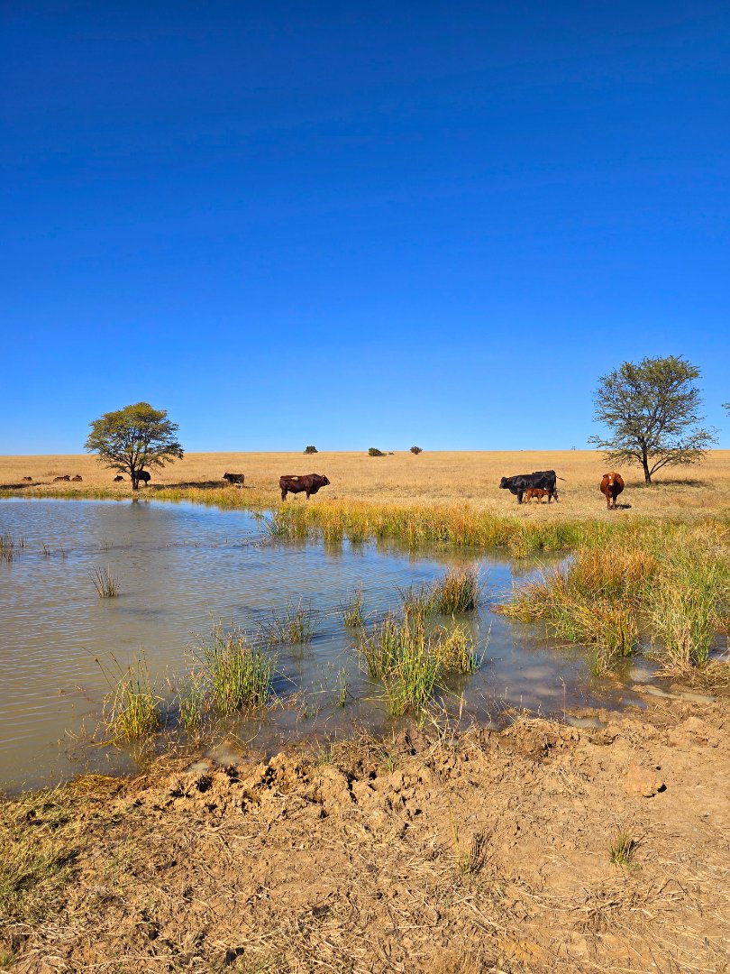 Commercial Property for Sale in Klerksdorp Rural North West